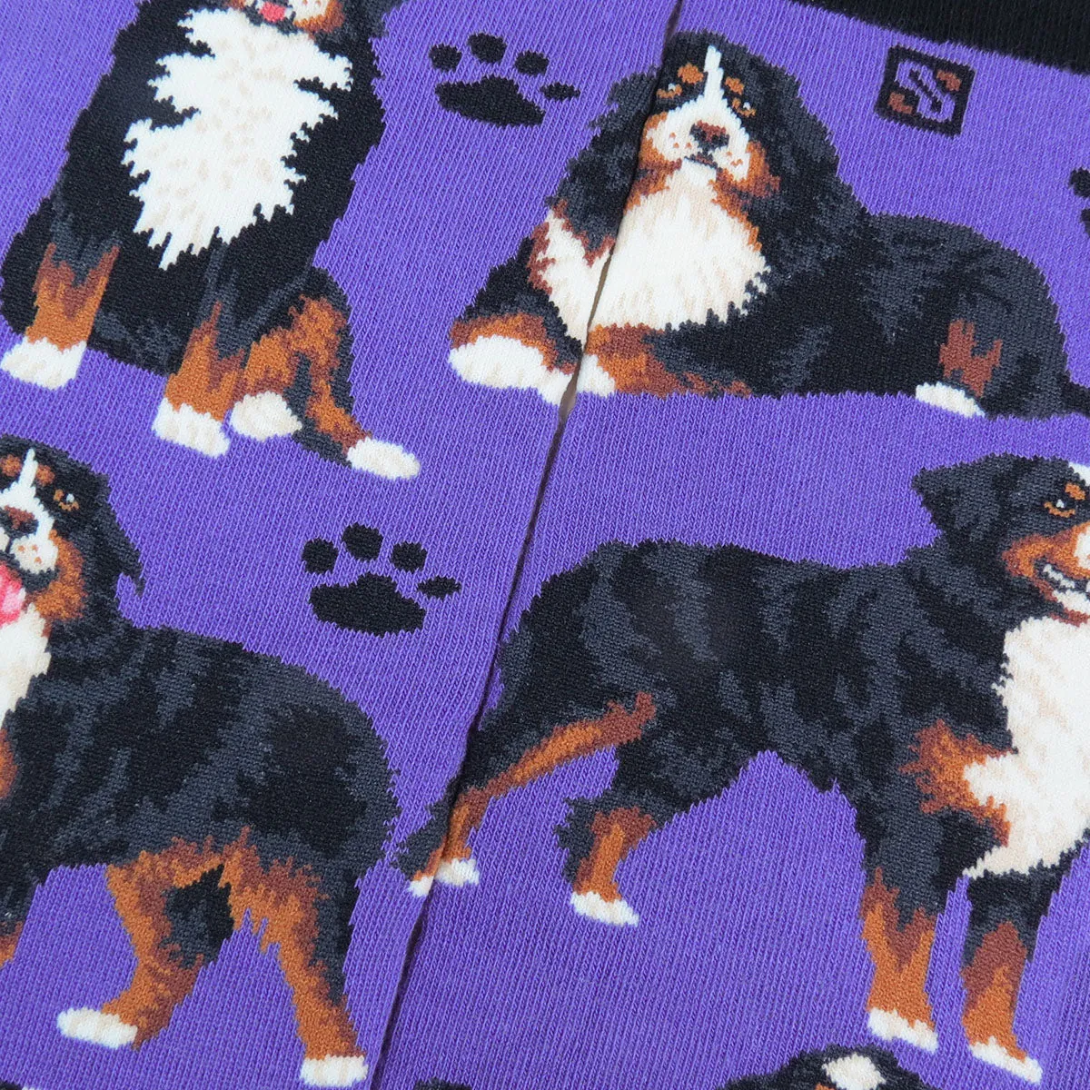 Bernese Mountain Dog (M/Purple)