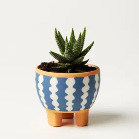 Paper Cut Planter Wiggle (Multiple Colors)