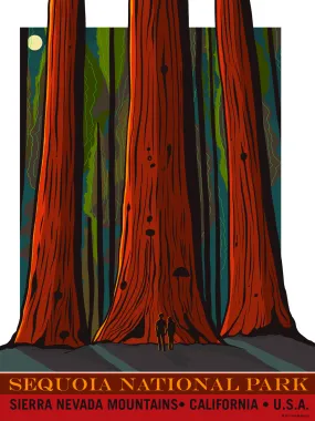 Sequoia National Park Poster